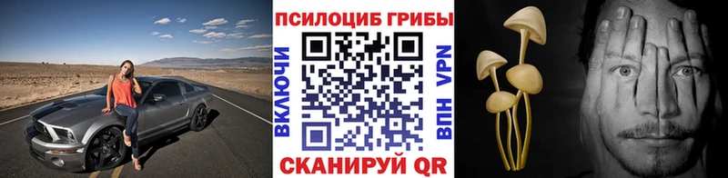 Галлюциногенные грибы MAGIC MUSHROOMS  OMG ONION  Нахабино 